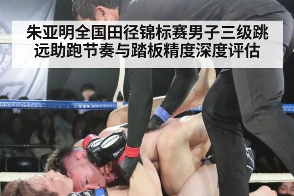朱亚明全国田径锦标赛男子三级跳远助跑节奏与踏板精度深度评估